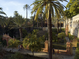 Late Afternoon in the Gardens of the Alcazar Palace  Seville