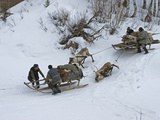 Komi Nomadic Herders Slow Down Sleds from Crushing Reindeer