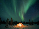 Northern Lights or Aurora Borealis over Illuminated Tent  Boreal Forest  North America
