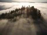 The Largest Patch of Old Growth Redwoods Remaining