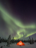 Northern Lights or Aurora Borealis over Illuminated Tent  Boreal Forest  North America