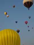 Many People Lift Off in Hot Air Balloons