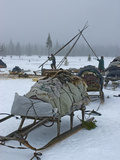 Komi Reindeer Herders Disassemble their Chums to Move Elsewhere
