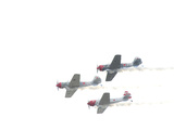 Yak 52Tw Aircraft Fly in Formation