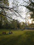Late Afternoon in Piedmont Park in Midtown  Atlanta