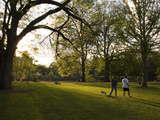 Late Afternoon in Piedmont Park in Midtown  Atlanta