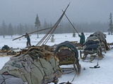 Komi Reindeer Herders Disassemble their Chums to Move Elsewhere