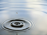 Ripples Created by a Drop of Water Splashing into a Calm Pool