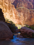 A Stream Descends to Meet the Colorado River