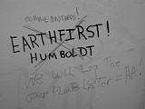 Graffiti Regarding Highway Expansion Through the Redwood Forests
