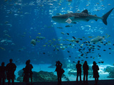 Visitors at the Georgia Aquarium in Atlanta