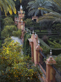 The Gardens of the Alcazar Palace  Seville