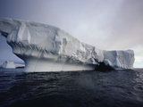 Iceberg  Palmer Peninsula  Antarctica