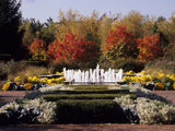 A Bubbling Fountain Surrounded by Plants and Colorful Trees