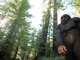 Legend of Bigfoot Roadside Attraction Outside Richardson State Park