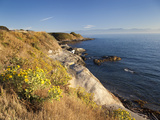 The Dallas Road Waterfront with the Olympic Mountains in the Distance