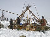 Nomadic Komi Reindeer Herders Assemble their Chums over Belongings