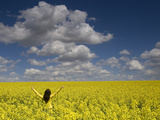 A Young Woman in a Field of Rapeseed  Brassica Napus