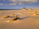 Sand Dunes at the Gulf Islands National Seashore  Florida