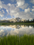 Mammoth Peak and Scattered Clouds Reflected in Lake  Yosemite National Park  California