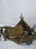 Komi Reindeer Herding Nomads Wrap their Chum with Reindeer Skins
