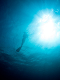 A Freediver on the Surface Getting Ready to Make a Dive