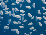 Frost Forms on the Deep Blue Sea Ice in the Arctic