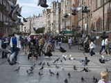 Pigeons Fly Through Long Market  City Square