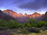 Towers of the Virgin  Zion National Park  Utah