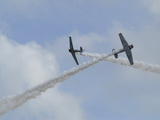 T-6 Texan Aircraft in Flight