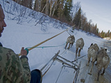 Komi Reindeer Herder Drives His Team Along a Dangerous Melting Stream