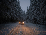 A Rare Dusting of Snow in Del Norte Redwoods State Park