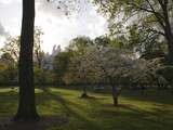 Late Afternoon in Piedmont Park in Midtown  Atlanta