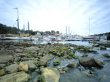 Boats in Camden Harbor