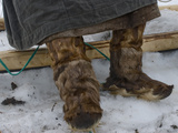 A Komi Reindeer Herder Wears Reindeer Boots and a Malitsa Robe