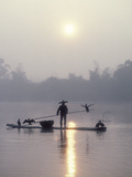 A Fisherman Uses His Cormorants to Catch Fish in the Early Morning