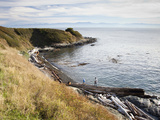 Two People Play on a Driftwood Log on the Beach
