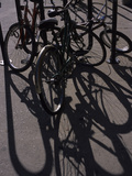 Bicycle Frames Cast Long Shadows on a Sidewalk