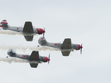 Yak 52Tw Aircraft Fly in Formation Yak 52Tw Aircraft Fly in Formation