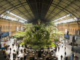 Overview of the Old Section of Atocha Station in Madrid