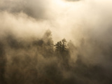 Aerials over Headwaters Forest Reserve