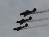 Yak 52Tw Aircraft Fly in Formation