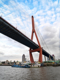 The Yangpu Bridge Connecting Puxi and Pudong in Shanghai  China