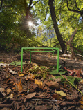An Ecosystem Sample Is Collected Within a One Cubic Foot Metal Cube