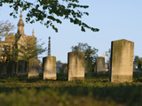 Morning Light on Tombstones and Tombs in the Oakland Cemetery  Atlanta