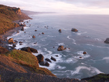 The High Bluffs of Redwood National Park