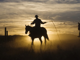 Cowboy on Horse (Equus Caballus) Riding with Whip at Sunset  Oregon