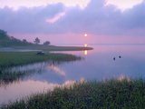 Marsh at Sunrise over Eagle Bay  St Joseph Peninsula  Florida