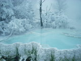 Steaming Pool at Mammoth Hot Springs in Winter  Yellowstone National Park  Wyoming