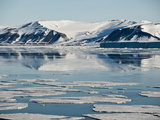 Different Shaped Ice Floes Near the Negribreen Glacier in Norway